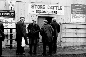Bakewell, Derbyshire Cattle Market - 2 Bakewell, Derbyshire Cattle Market - 2