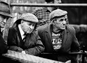 Bakewell, Derbyshire Cattle Market - 5 Bakewell, Derbyshire Cattle Market - 5