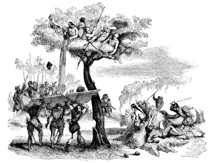Balboa attacked by the Dabaibe Indigenous people Balboa attacked by the Dabaibe Indigenous people