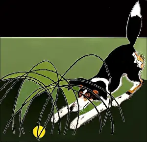 Mary Evans Prints Online: Ball and Brambles Print
