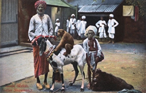 Banda Wallah (showman) with boy and animals, India Banda Wallah (showman) with boy and animals, India