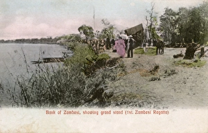 Bank of Zambezi River, Northern Rhodesia, Southern Africa Bank of Zambezi River, Northern Rhodesia, Southern Africa