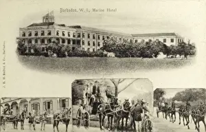 Barbados West Indies Hotel Print circa 1908