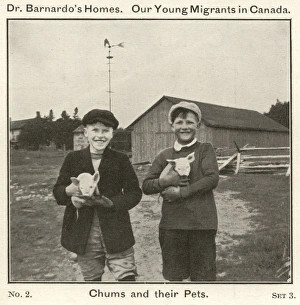 Barnardos Emigrants in Canada - Chums and their Pets Barnardos Emigrants in Canada - Chums and their Pets