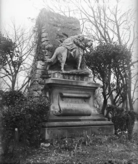 Prints of Memorial statue to Barry, a St Bernard dog who rescued 42 people in the Alps, but was killed by the 43rd who thought the dog was attacking him, Asnieres cemetery, Paris Barry Prints: Barry Statue Print, Paris Memorial