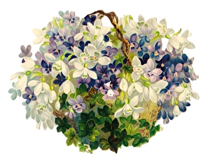 Basket of white and mauve flowers on a Victorian scrap Basket of white and mauve flowers on a Victorian scrap