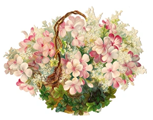 Basket of white and pink flowers on a Victorian scrap Basket of white and pink flowers on a Victorian scrap