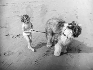 Beach Pals Print: 1950s Old English Sheepdog Scene