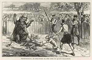 Antique Illustrations UK Prints: Bear Baiting C 16
