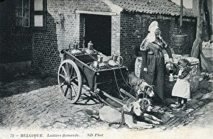 Belgium - Flemish Milkmaid - Dog-drawn milk cart Belgium - Flemish Milkmaid - Dog-drawn milk cart