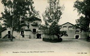 Beni Mered, Algeria - farmhouses and storage cellars Beni Mered, Algeria - farmhouses and storage cellars
