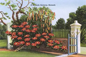 British Overseas Territory Map Prints: A Bermuda Gateway
