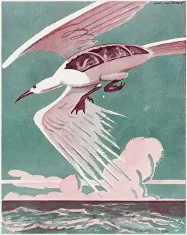 Retro Air Travel Posters Prints: Is it a Bird ?