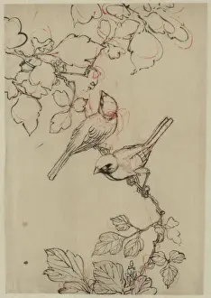 18th or 19th Century Print - Two Birds Perched on Grapevines