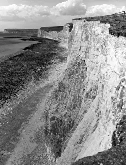 English Coastline Images Prints: Birling Gap Cliffs