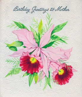 Birthday card for Mother, with pink flowers Birthday card for Mother, with pink flowers