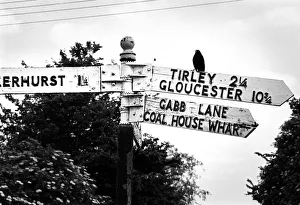 Blackbird on fingerpost, Gloucestershire, England Blackbird on fingerpost, Gloucestershire, England