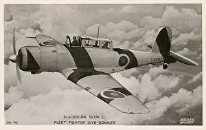 Blackburn Skua II - Fleet-fighter Dive Bomber Blackburn Skua II - Fleet-fighter Dive Bomber