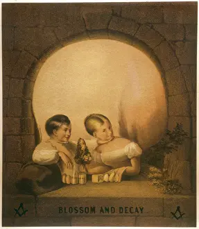 Blossom and Decay Print