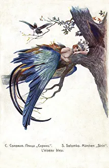 Blue Bird (Bird Sirin) - Sergey Solomko Blue Bird (Bird Sirin) - Sergey Solomko