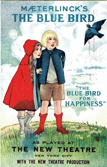 The Blue Bird for Happiness by M. Maeterlinck The Blue Bird for Happiness by M. Maeterlinck