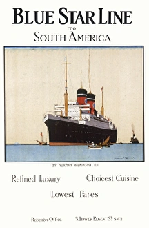 Blue Star Line poster