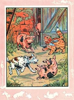 Bobby the dog and Fluff the cat with piglets Bobby the dog and Fluff the cat with piglets