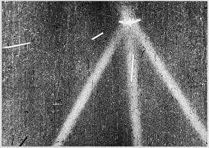 Eastern Front Historical Events Prints: Bomber in Searchlight