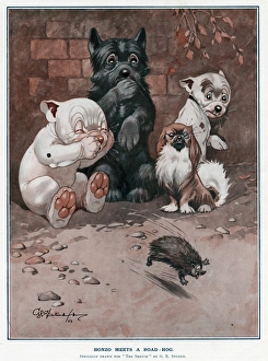 Bonzo meets a road hog by George Studdy Bonzo meets a road hog by George Studdy