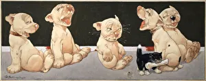 Five Bonzos laugh as a small black kitten takes their bone Five Bonzos laugh as a small black kitten takes their bone