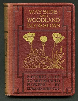 Book cover, Wayside and Woodland Blossoms Book cover, Wayside and Woodland Blossoms
