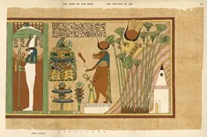 Egyptian Mythology Gods Prints: Book of the Dead / 37
