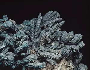 Bornite Mineral Prints: Bornite