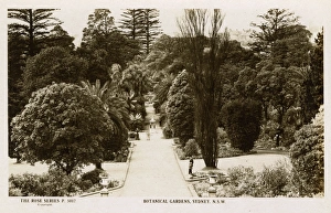 Botanical Gardens, Sydney, New South Wales, Australia Botanical Gardens, Sydney, New South Wales, Australia