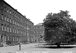 Early 1900s Irish Architecture Photos Prints: Botany Bay, Trinity, Dublin