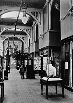 Natural History Museum Exhibit Prints: The Botany Gallery