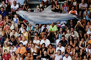 Bottlenose Dolphin jumping with crowd watching in background Bottlenose Dolphin jumping with crowd watching in background