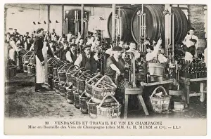 Vintage Wine Bottles Prints: Bottling at Mumm s