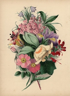 Bouquet of wild flowers: tulip tree, wild roses Bouquet of wild flowers: tulip tree, wild roses
