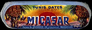Box label, Tunis Dates, Micasar, Algeria Box label, Tunis Dates, Micasar, Algeria