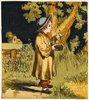Tree Nesting Birds Prints: Boy with Nest & Bird