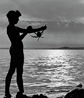 Boy silhouetted against the sky, holding a crab Boy silhouetted against the sky, holding a crab