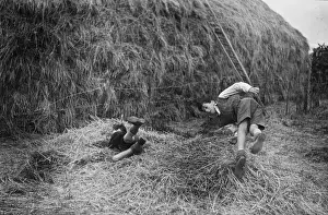 Two Boys Playing Near a Haystack Print, circa 1937