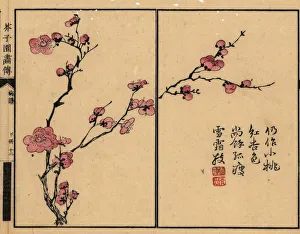Branch of pink plum blossom with calligraphy and seal Branch of pink plum blossom with calligraphy and seal