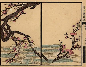 Branch of pink plum blossom over a river Branch of pink plum blossom over a river