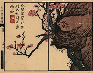 Branch of pink plum blossom on a rock with calligraphy Branch of pink plum blossom on a rock with calligraphy