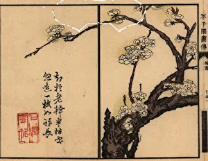 Branch of white plum blossom with calligraphy and seal Branch of white plum blossom with calligraphy and seal