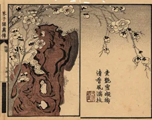 Branch of white plum blossom on a rock with calligraphy Branch of white plum blossom on a rock with calligraphy