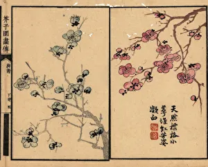 Branches of plum blossom with calligraphy and seal Branches of plum blossom with calligraphy and seal