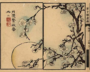 Branches of white plum blossom against a full moon Branches of white plum blossom against a full moon